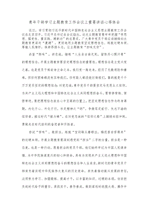 青年干部学习主题教育工作会议上重要讲话心得体会.docx