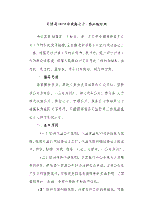司法局2023年政务公开工作实施方案.docx