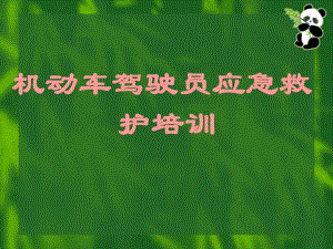 驾驶员培训课件.ppt