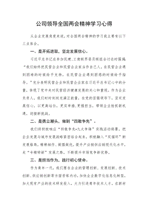 公司领导全国两会精神学习心得.docx
