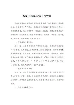 XX区蔬菜促销工作方案.docx