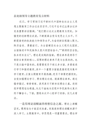 县处级领导主题教育发言材料.docx