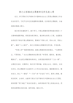 持之以恒推动主题教育见形见效心得.docx