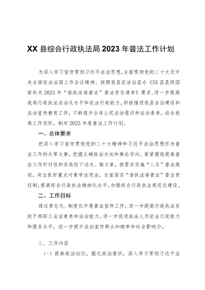 XX县综合行政执法局2023年普法工作计划.docx