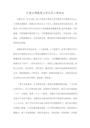 开展主题教育以学正风心得体会.docx