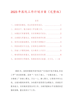 2023年医院工作计划方案（完整版）.docx