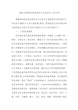 2023年度防灾减灾救灾工作总结及工作计划.docx