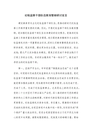 2023年纪检监察干部队伍教育整顿专题（学习培训）研讨发言参考范文2篇.docx
