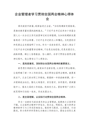 企业管理者学习贯彻全国两会精神心得体会.docx