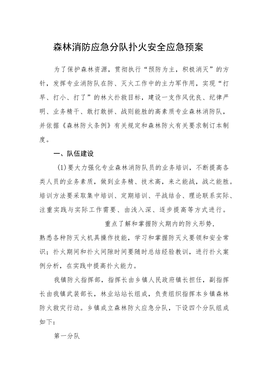 森林消防应急分队扑火安全应急预案.docx_第1页
