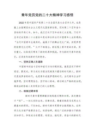 青年党员党的二十大精神学习感悟.docx