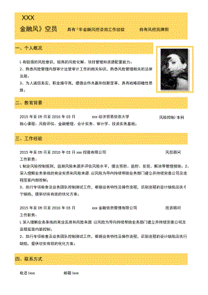 金融行业简历金融风控员求职简历.docx