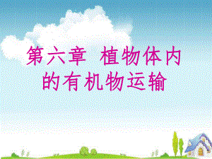 中国科学院大学植物生理学课件：植物生理学第六章.ppt