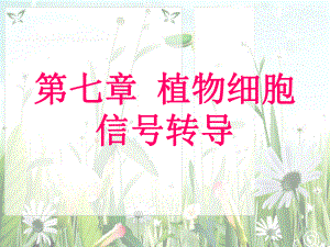 中国科学院大学植物生理学课件：植物生理学第七章.ppt
