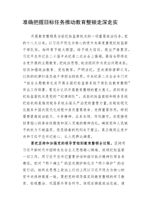 2023年全国纪检监察干部队伍教育整顿工作 发言材料 3篇.docx