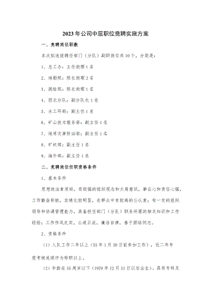 2023年公司中层职位竞聘实施方案.docx
