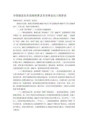 分管副县长在县政府第2次全体会议上的讲话.docx