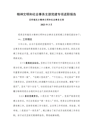 社会性事务与精神文明党建专项述职报告.docx
