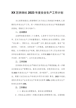 XX区供销社2023年度安全生产工作计划.docx