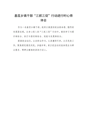 基层乡镇干部“三抓三促”行动进行时心得体会.docx
