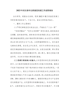 2023年党支部书记抓基层党建工作述职报告.docx