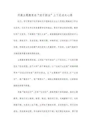 开展主题教育在“实干担当”上下足功夫心得.docx