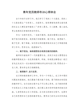 青年党员教师冬训心得体会.docx