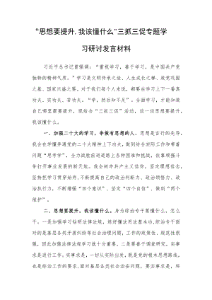 2023年“思想要提升,我该懂什么”三抓三促专题学习心得研讨发言材料.docx