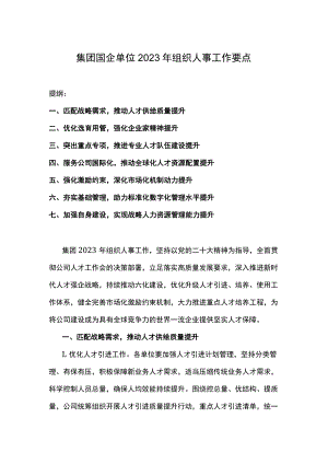 集团国企单位2023年组织人事工作要点.docx