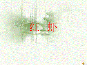 《红虾》课件.ppt