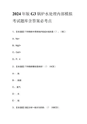 2024年版G3锅炉水处理内部模拟考试题库含答案必考点.docx