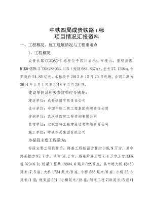 2. 项目情况汇报材料.docx