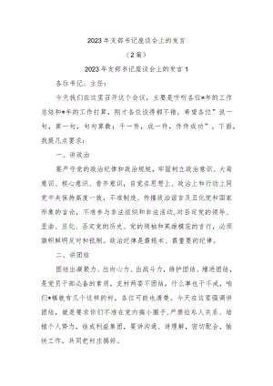 (2篇)2023年支部书记座谈会上的发言范文.docx
