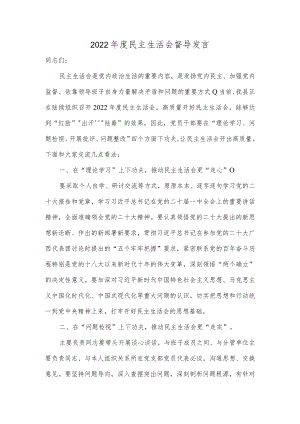 2022年度民主生活会督导发言.docx