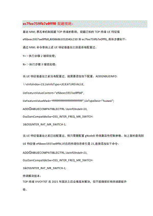 TOP终端规避措施.docx