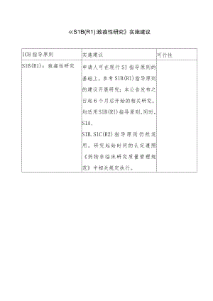 S1B（R1）实施建议.docx
