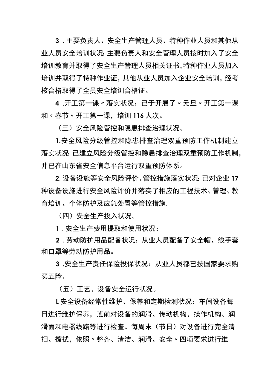 XX公司安全生产自我诊断报告（4页）.docx_第2页