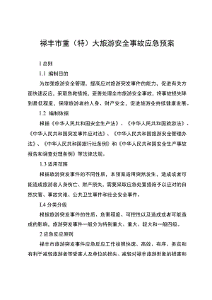 2022禄丰市重（特）大旅游安全事故应急预案.docx