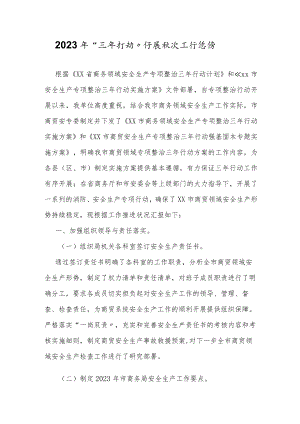 2022年“三年行动”开展情况工作总结（9页）.docx