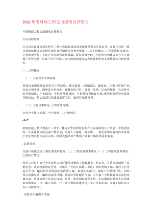 2022年度财政项目支出绩效自评报告.docx