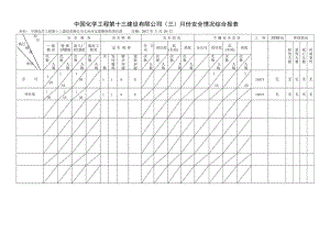 7 安全情况综合报表.docx
