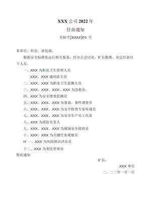 033任命通知.docx