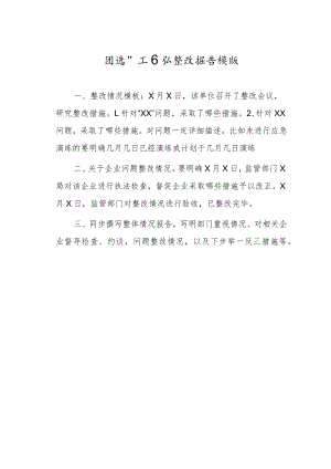 “四进”工作队整改报告模版.docx