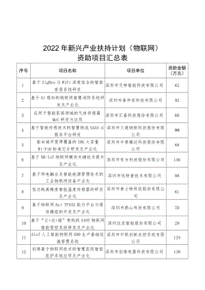2022年新兴产业扶持计划物联网资助项目汇总表.docx