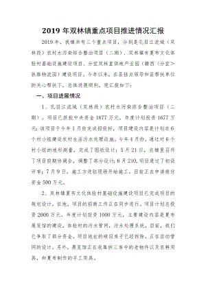 2019年双林镇重点项目推进情况汇报.docx