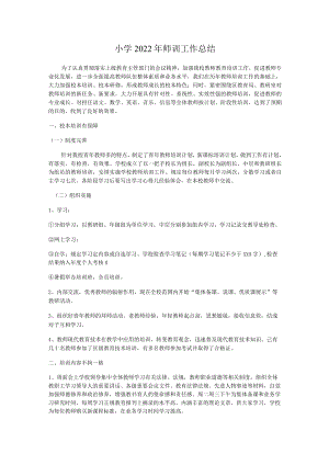 2022年小学师训工作总结.docx