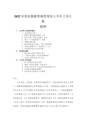 2022年度县数据资源管理局上半年工作汇报.docx