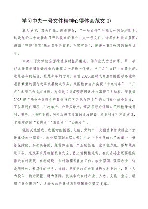 2023年一号文件精神心得体会研讨发言材料4篇.docx