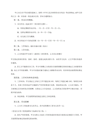 SYB小额贷款劳动合同模板.docx