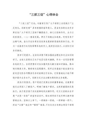 2023党员干部落实“三抓三促”行动心得体会.docx